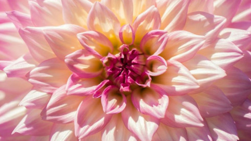Premier Lake County Florist Shop - Seller Financing Available