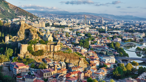 Real Estate Co. (2016)/ Broker-Developer/ Georgia