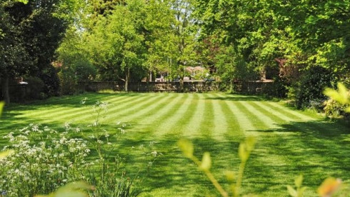 Lawn Maintenance and Only Lawn - Commercial