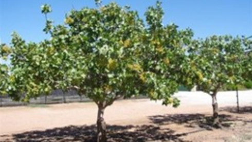 Land Bank Company Seeking Farm & Ranch Land