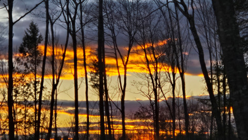 90 Acres in Southeastern Maine