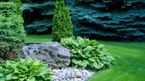 Established Landscape Design & Planning Business for Sale - Ottawa
