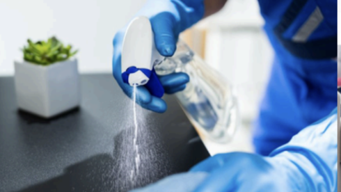 Master the Market, Skip the Mop