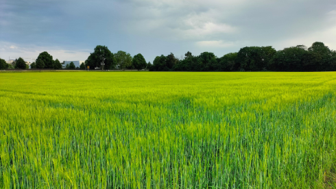 Tech-Enabled Land Wholesaling Platform