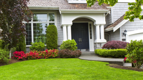 Landscape Design and Installation