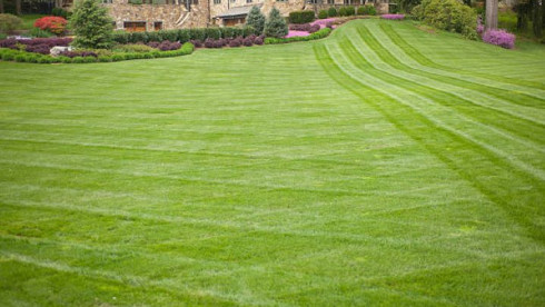 Growing Lawn Care Business-Great Systems and Staff