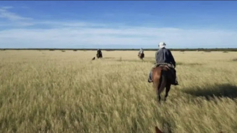 For sale 78.293 Acre Cattle Ranch in South America