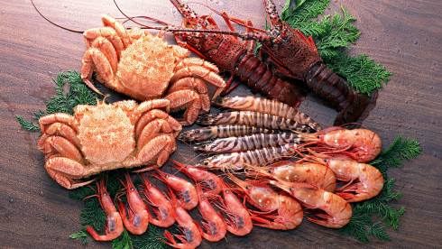 Fast Growing F&B Distribution Business