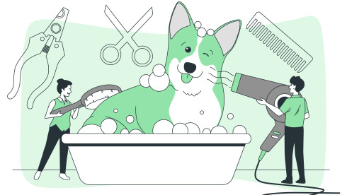 Profitable Pet Grooming With Mobile Grooming Van