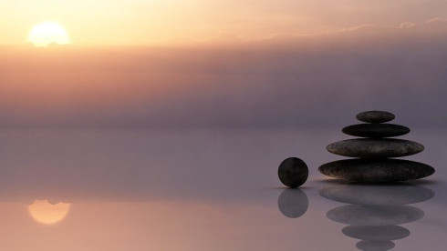 Brand New Wellness Franchise