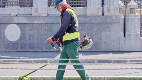 Well Est. Commercial Lawn Care-N. Metro Atlanta