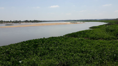 Excellent Cattle Ranch For Sale Paraguay