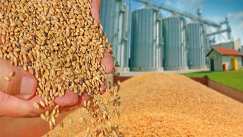 Agricultural Mill and Farm Supply Store