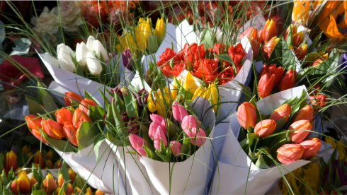 Turnkey High-End Florist with Renowned Designer