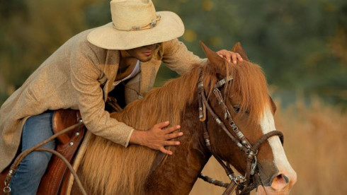 Prestigious Horse Saddle Manufacturer