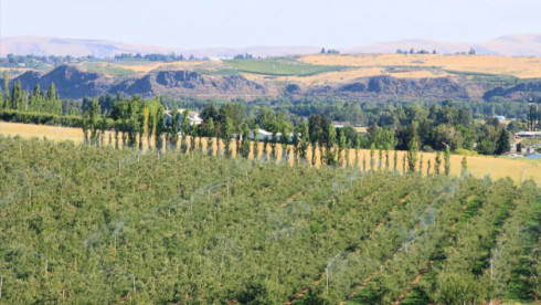 Yakima County, WA Small Animal Practice for Sale