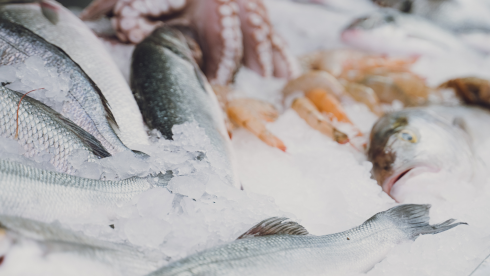 30 Year Old Food Service Company In Canada