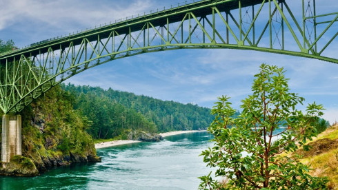 Island County, WA Dream Dental Practice and RE
