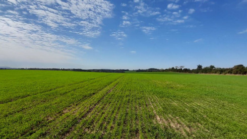 Agriculture Farm in Caazapa, Paraguay