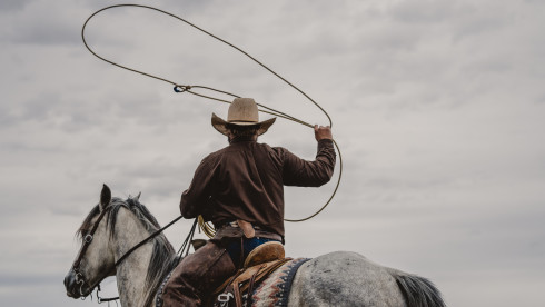 Co for Sale with Proven Profits