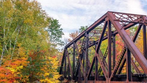 General Vet Practice with Specialty Services in NH