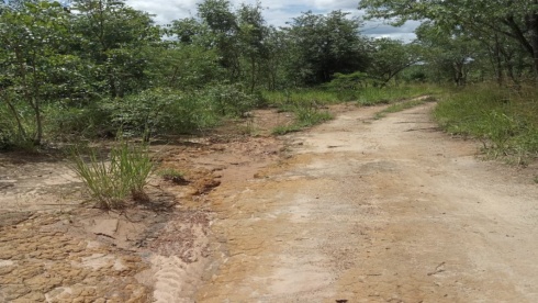 Mine - Large Scale Exploration License