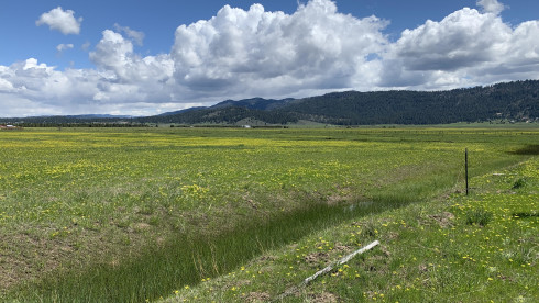 Owner Carry Land - 20-Acres In Idaho!