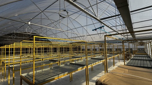 Urgent Sale Greenhouse Cultivation Farm