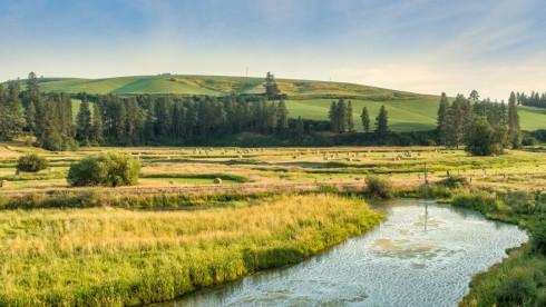 TriCities Sm Animal Clinic & RE - Motivated Seller