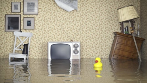 Established, Great Money Making Business for Sale