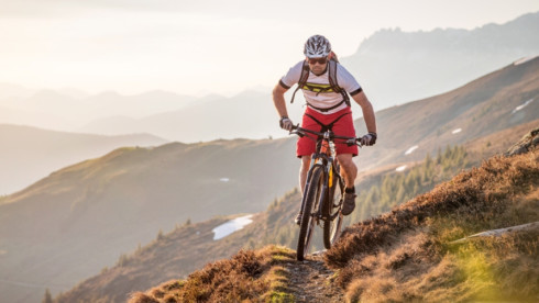 Highly Profitable Metro Denver Bicycle Shop