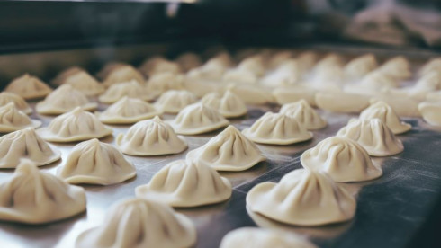 20+ Year Frozen Food Mfg.-Strong Growth Upside