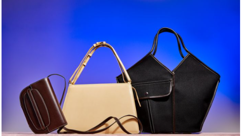 Womens Handbags Shopify Website Business