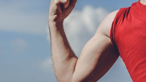 Essex County Vitamin & Health Products Provider