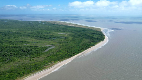 Excellent  Island Property Near The Coast Of Brazil