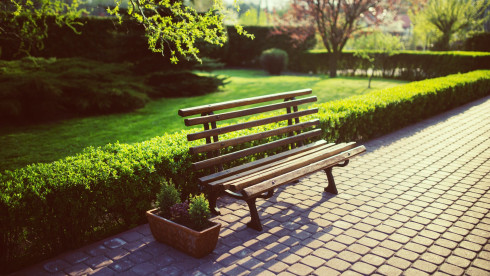 Full Service Plant Nursery & Maintenance  with R/E