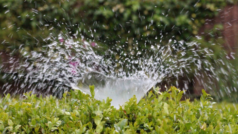 Price Reduced Irrigation & Landscaping Company