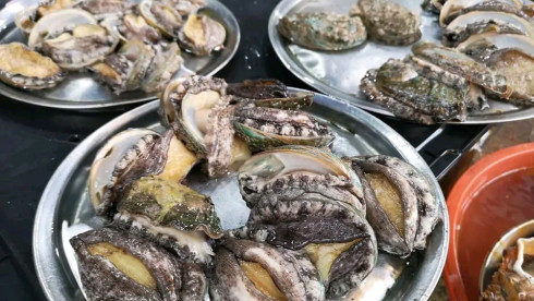 Abalone Farming in South Africa
