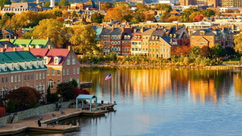 Veterinary Practice near Washington, D.C.