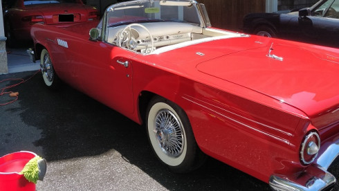 Mobile Auto Detailing Business for Sale in NY