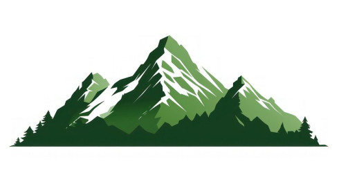 Shareholder Activist