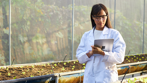 Organic and Conventional Rice Processing Company