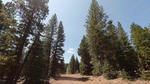 One Acre Secluded Lot Near California Pines