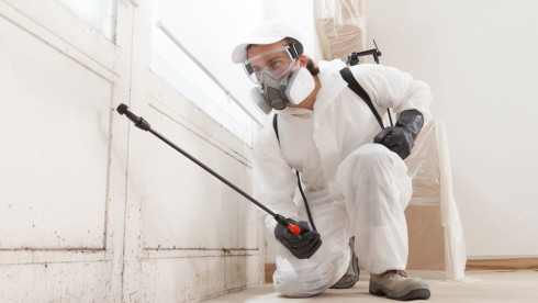 Established - High Margin Pest Control Services Company