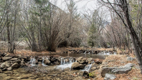 On Chalk Creek with Rental History!