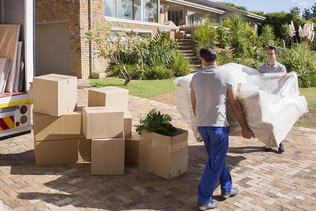 Pure Moving Company Local Movers