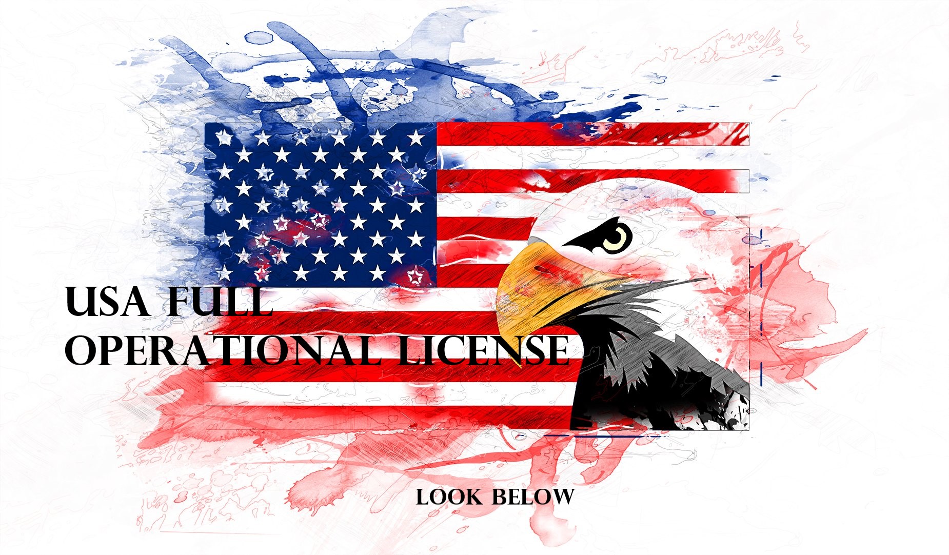 For Sale: USA MSB License + Full Operational Pack