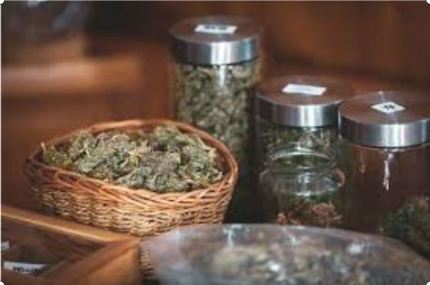 Well Established Cannabis Retailer