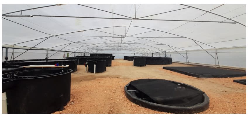 Aquaculture Business