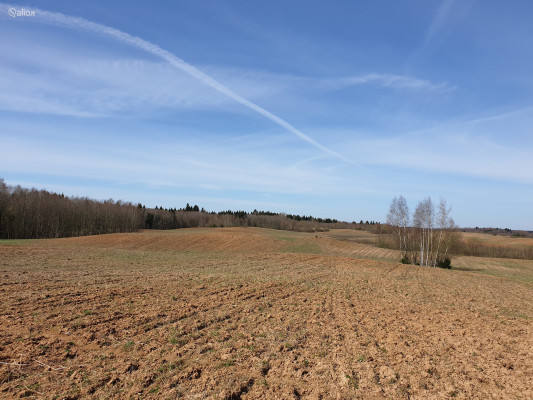 130 ha Lands in One Area in Lithuania